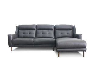 Hector shop sofa dfs